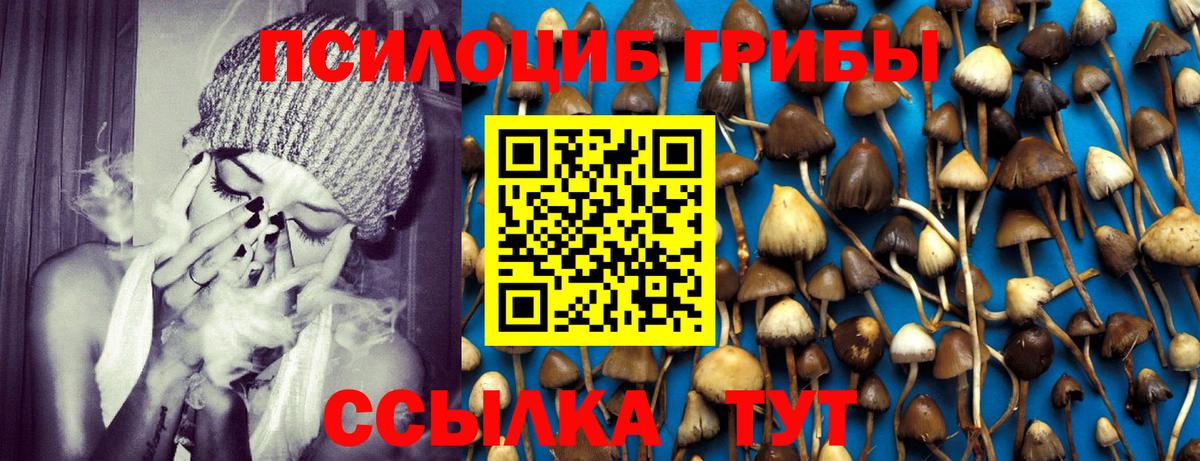 Галлюциногенные грибы мицелий Тимашёвск