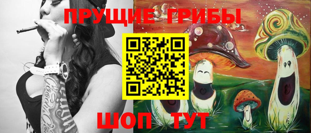 Галлюциногенные грибы Psilocybine cubensis  Вход с VPN  цены   Тимашёвск 
